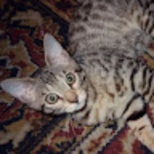 Meet your Posher, Cristin